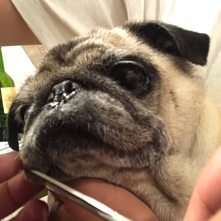 7c4430f8 b143 456c add6 4ea4b8fb179f 1566213146589