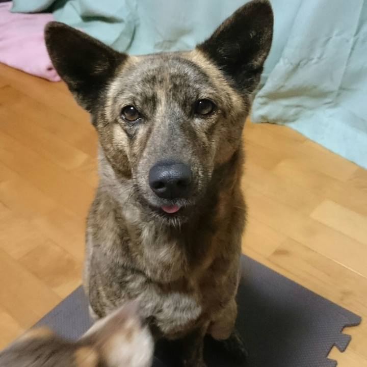 7c4500cc 55cc 4b93 9656 422994bda793 1516010681291