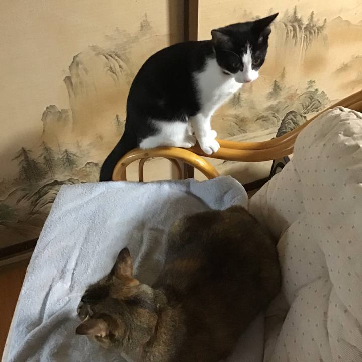 7c455f10 4ca3 4156 bfcf 787581aef273 1629191627056