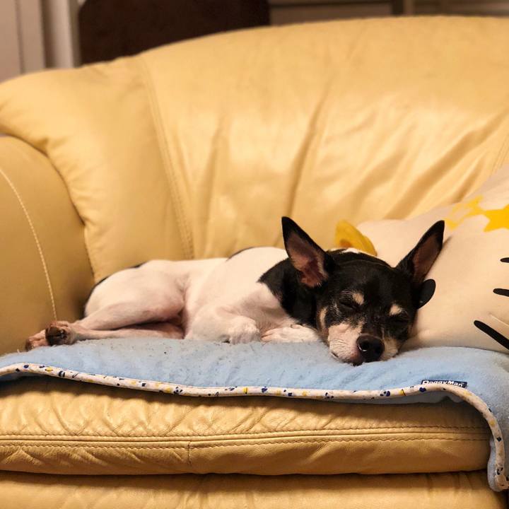 7c459931 cd9c 4478 9ee1 e81fb61f4ca2 1533650670446