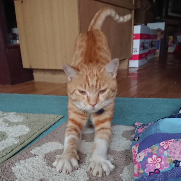 7c45ac81 0cbd 47ef 918f 7f1f37c42882 1562837083329