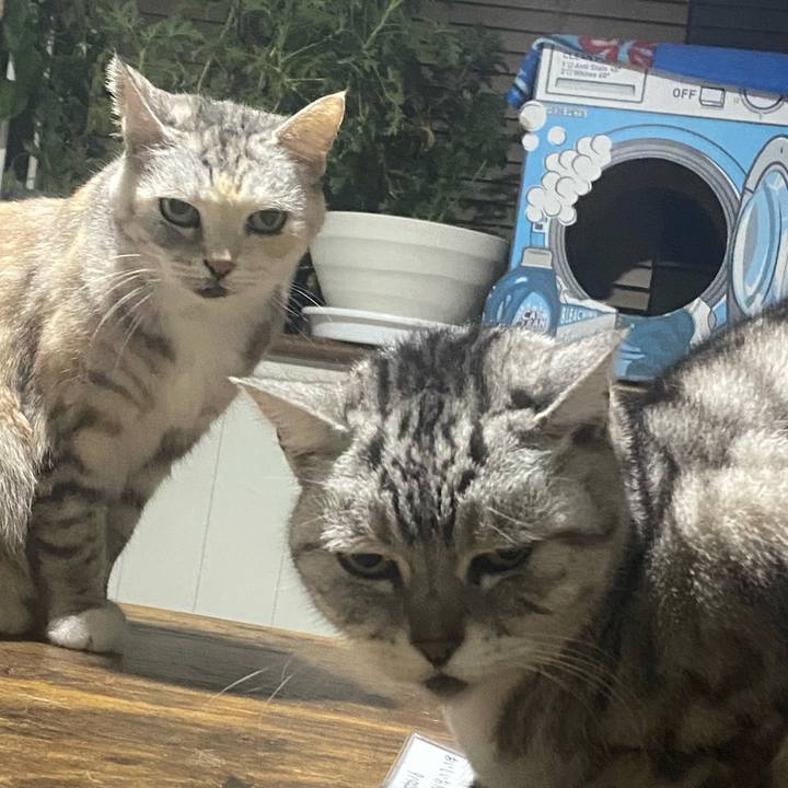 7c45aec2 b6e2 40b1 a643 f4047f80f9d2 1769289209532