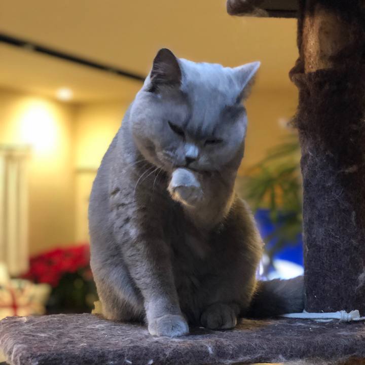 7c4622ea d80d 47b6 b62b 009ce79c3f45 1547115914723