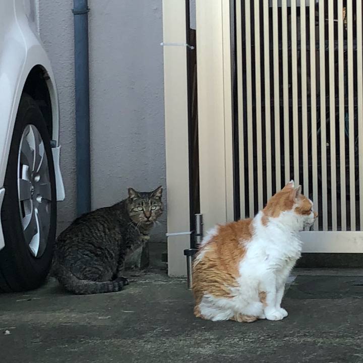 7c46240f 31fd 4f72 aac4 61a7eb613ddc 1601366149258