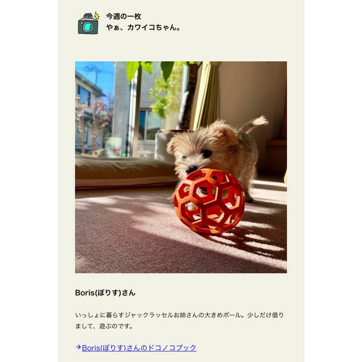 7c468120 db75 48ca b402 e1719ea404b2 1740603816827