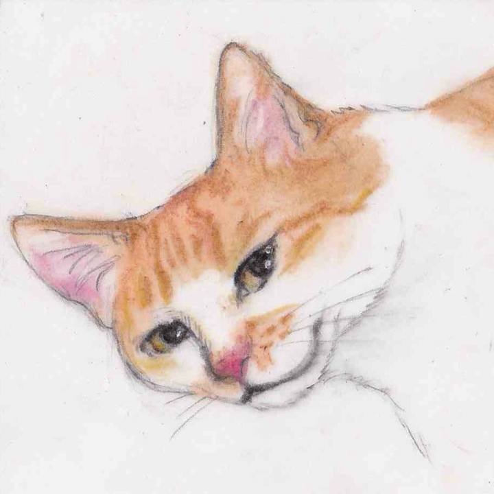 7c46a058 f59b 4a75 bcd2 25f2bdd35b05 1638546528564