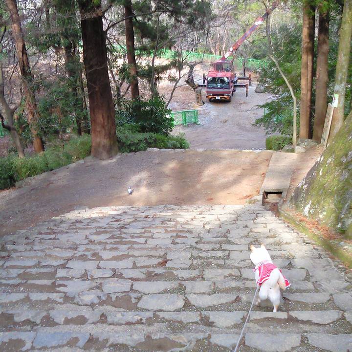 7c46a7bf c3b3 4f64 8083 62fc4ec5fb7c 1655758450625