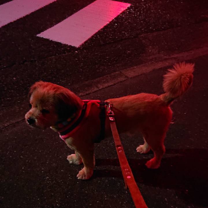 7c46dac0 2e6e 4fc4 964d f5cbca80262f 1549318208672