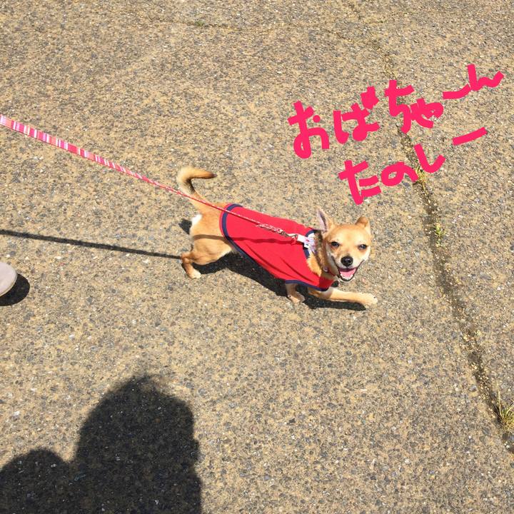 7c473804 4255 408d 8743 31d2078f575d 1525511999877