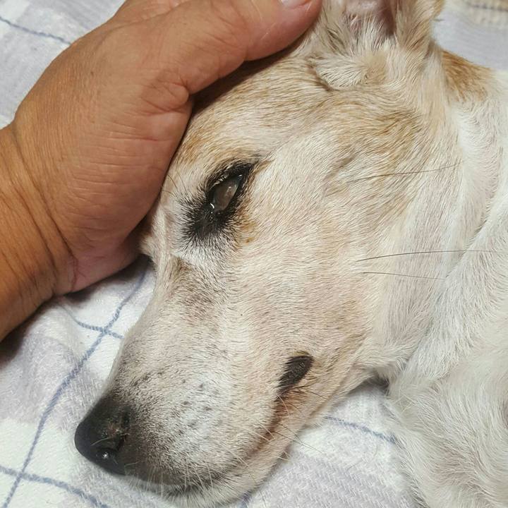 7c476fa5 658c 4a79 91d5 4120c43a19d9 1535853103532