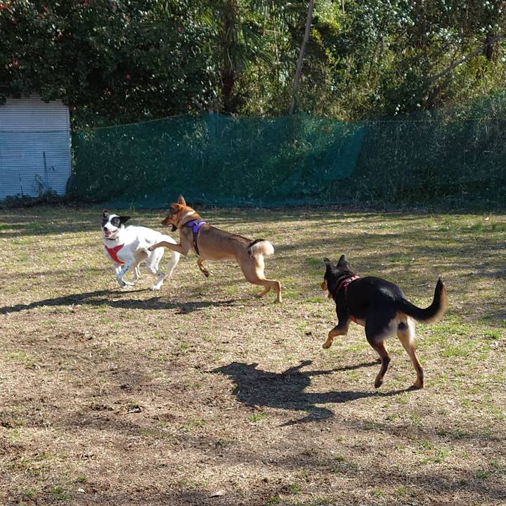 7c478d68 dce3 4f09 8f73 4edaa6d63bd1 1709433929019