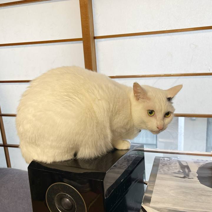 7c478ed4 2dcc 402d b4f7 debee24da3de 1767826030621