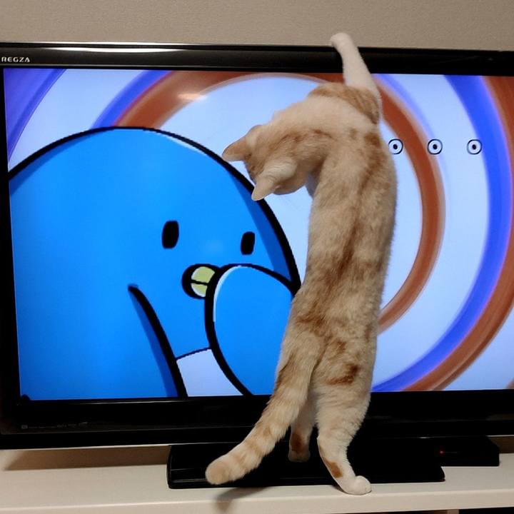 7c47a7f2 ef7a 4eff 80b6 5225af51dd3c 1669041609700