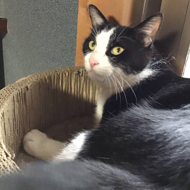 7c47b3a4 72fc 40e1 be02 7b2ba42f8135 1752222931326