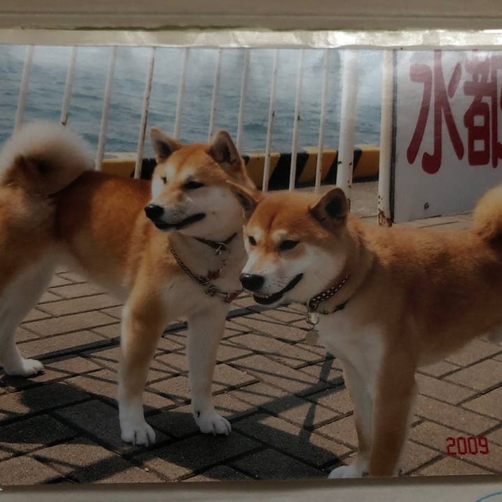 7c47ea9f 6ec8 4a5b 8578 50ce26ad5dd6 1556527735650