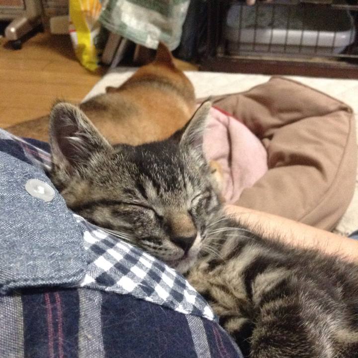 7c47ffa5 e9e0 4750 9663 ba3082a9c991 1528588499808