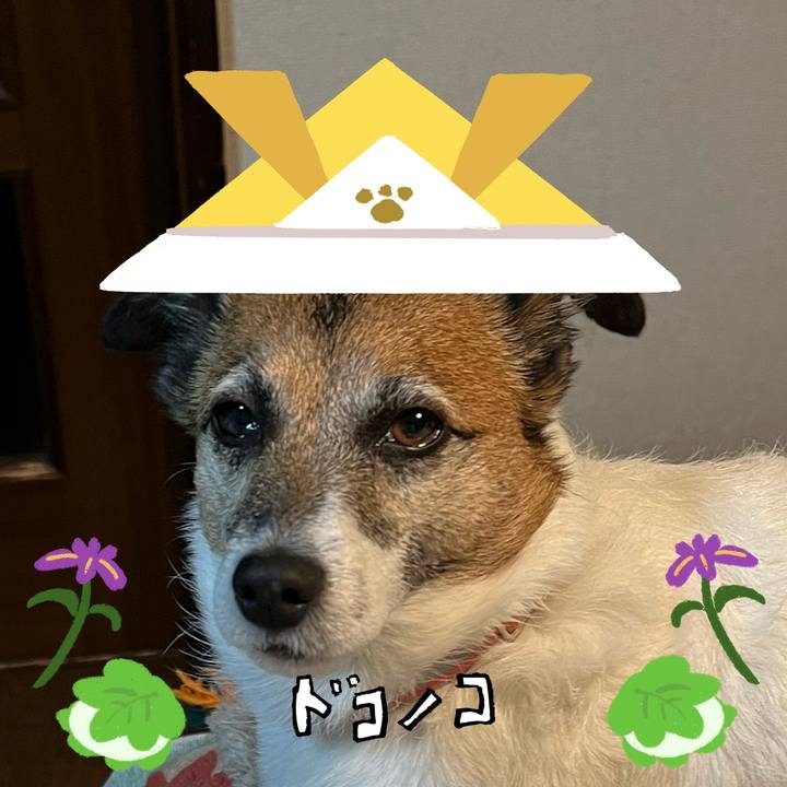 7c482429 f859 4b24 aac2 286c44a0d33b 1714888554745