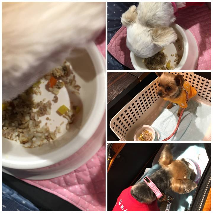 7c48443b 606f 4061 bc94 4c09bfa444d4 1511968888624