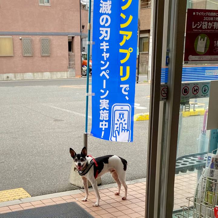 7c48761c 2d3c 4a75 925e 58345df19b17 1595552788001