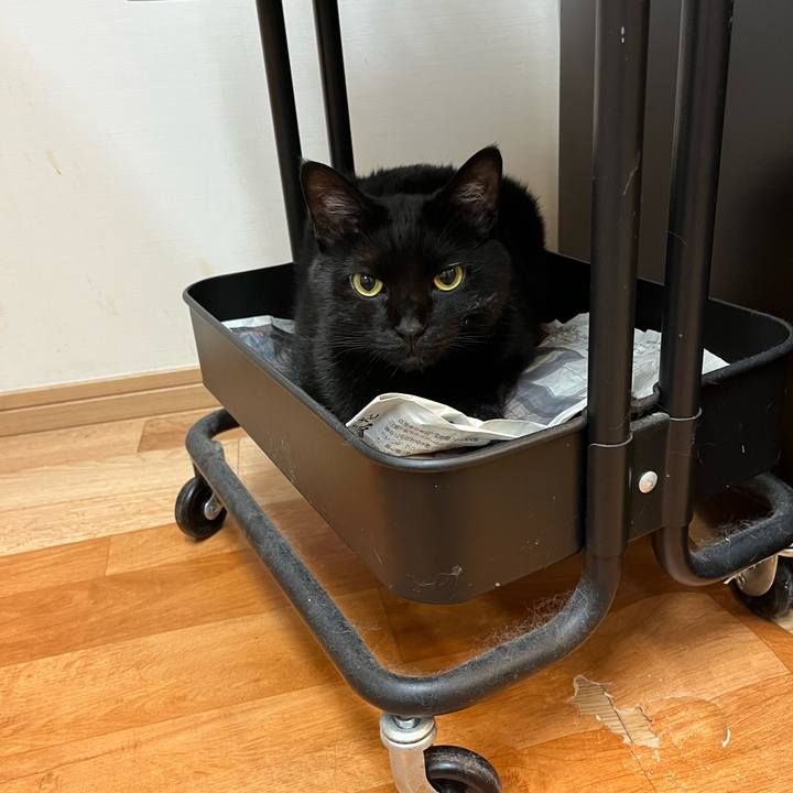 7c489175 f28f 41d0 b9b9 e768a60b87ac 1654085336286