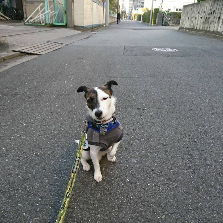 7c48a3ba 667e 46ae b5ac b2cddd7e12dc 1510005623821