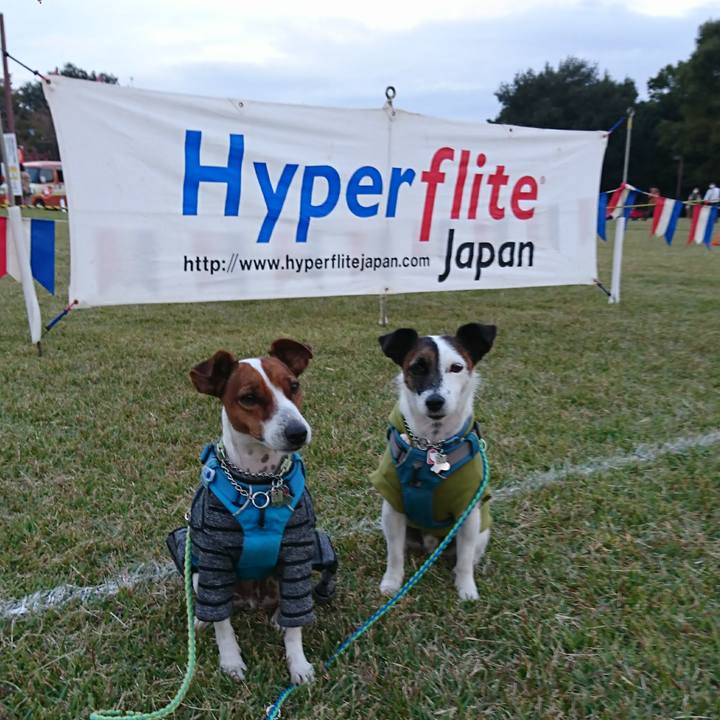 7c48d6ae 8f40 478b a25b f300b06e6917 1604226528840