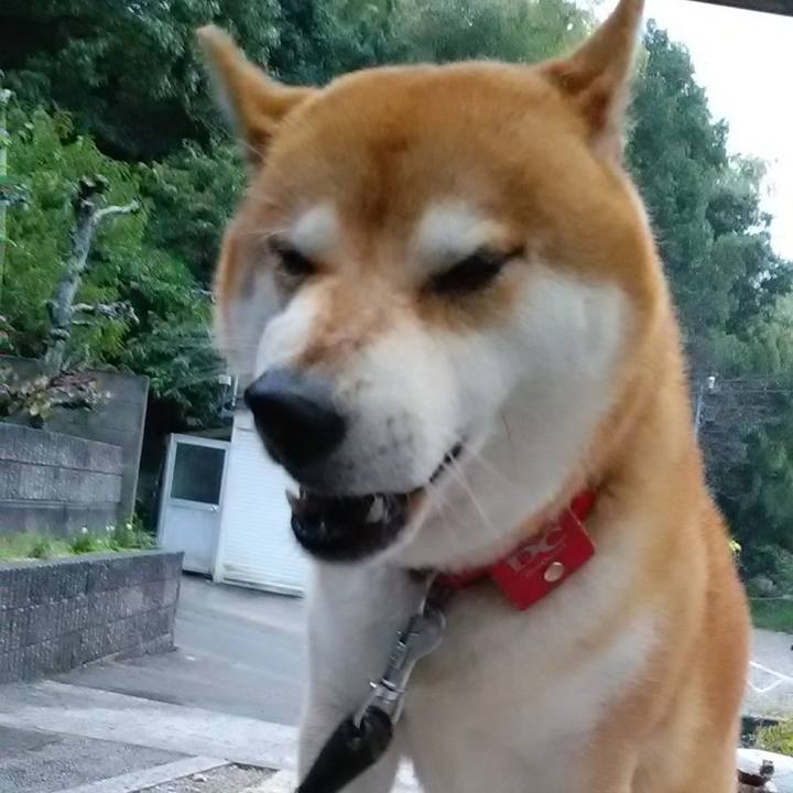 7c48d9e6 590a 40b9 9b47 5b6dd9ad06f0 1603417458357