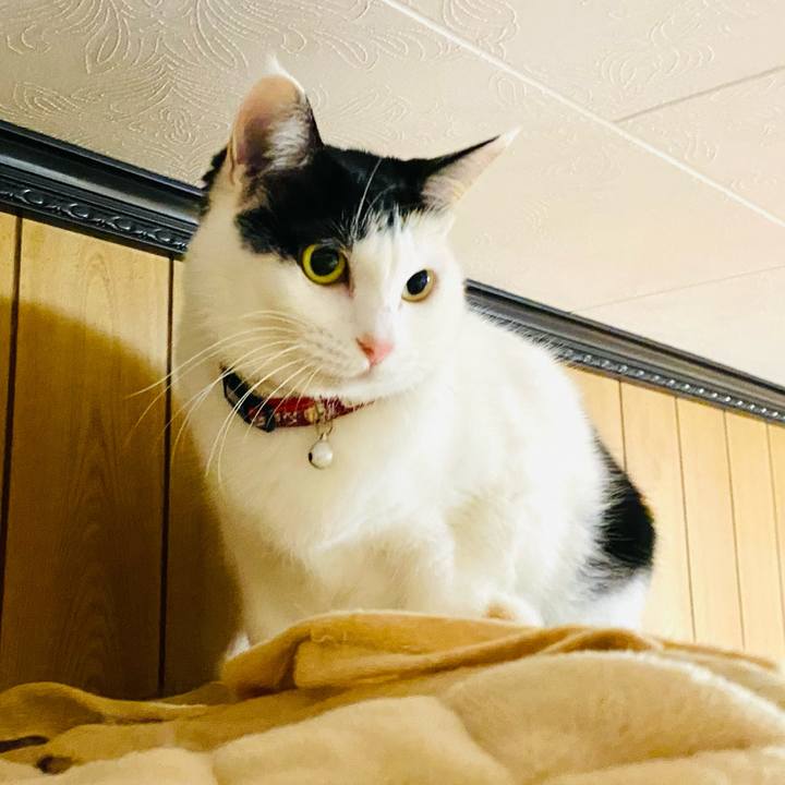 7c48fd7a 61d1 4f8f a7c6 b4ddabcf4837 1667859168360