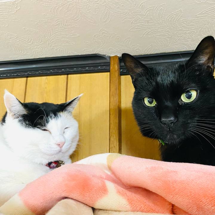 7c494efc 508c 468b b6b2 3c6a8b46c144 1736348034778