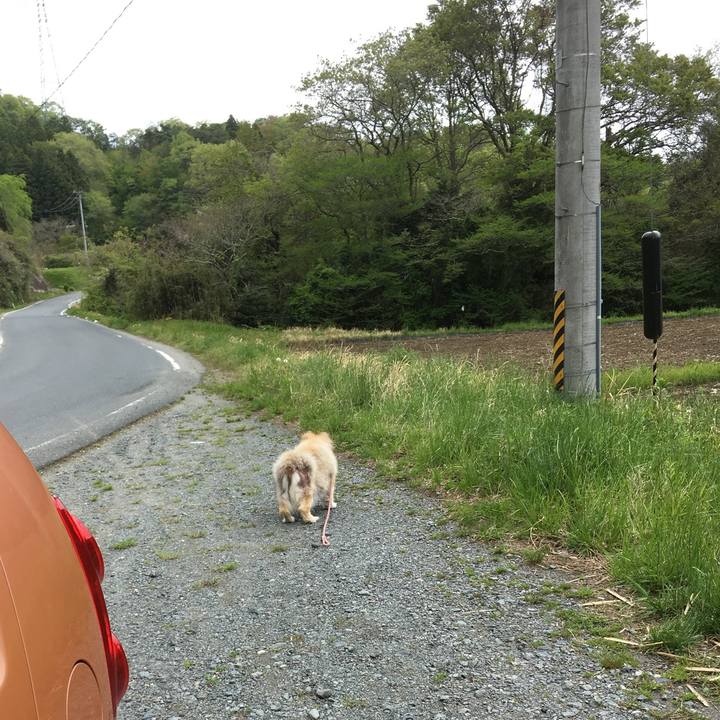 7c497eaf 8ef5 4cf0 bb45 7e1f1f0f7999 1563496781333