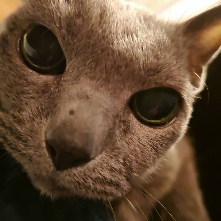 7c4995cb 6478 44b6 81ba 751249561b9b 1683290101613