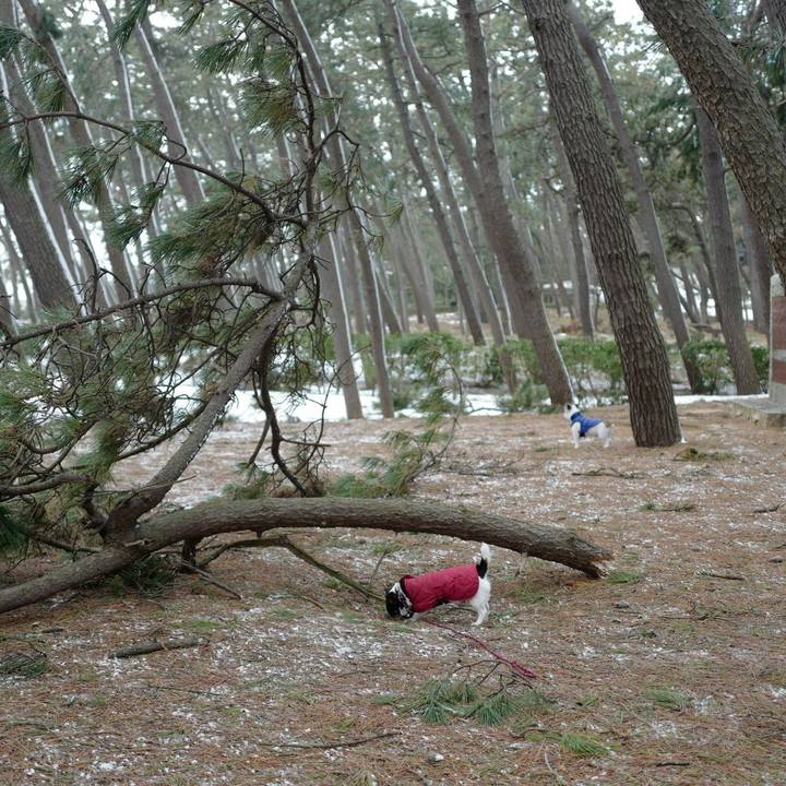 7c49b0c7 6e37 467a 8fdc f77f922d3916 1518929703030