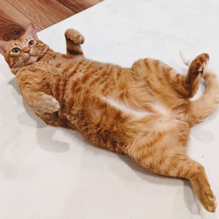 7c4a158a c097 4477 8fb0 42ef025f28a9 1630929898089