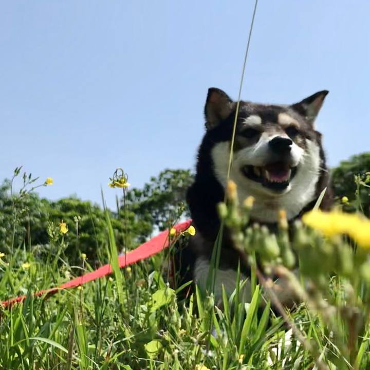 7c4a1c22 0af1 460f 807d c71c7831e37b 1618712667060