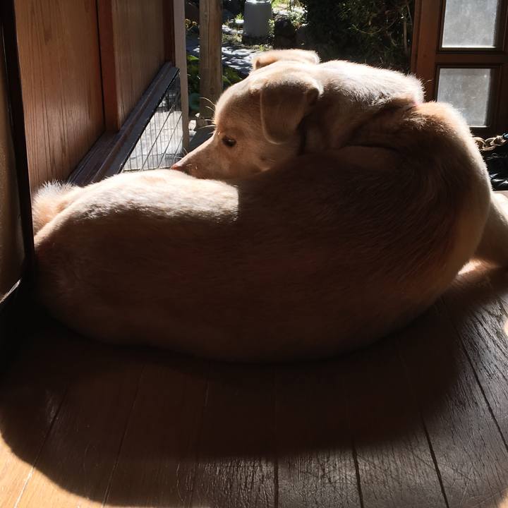 7c4a31ec 1174 422b 8ec5 2a5fdb1eb79d 1514775724671