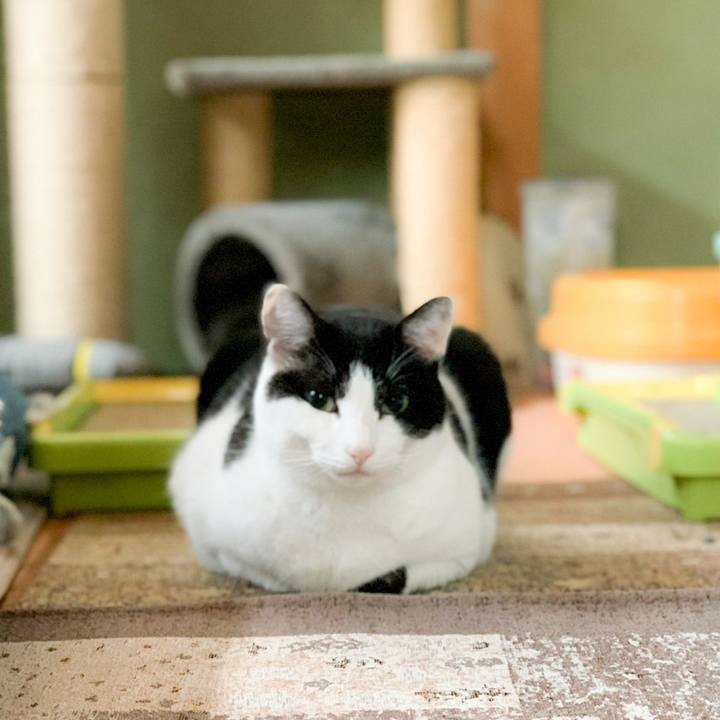 7c4a3489 220e 42d4 af7e be5917c43169 1583978536379