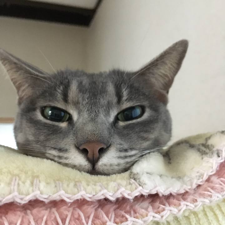 7c4a65e2 6e6b 4631 8a94 42aea5e58563 1573079292991