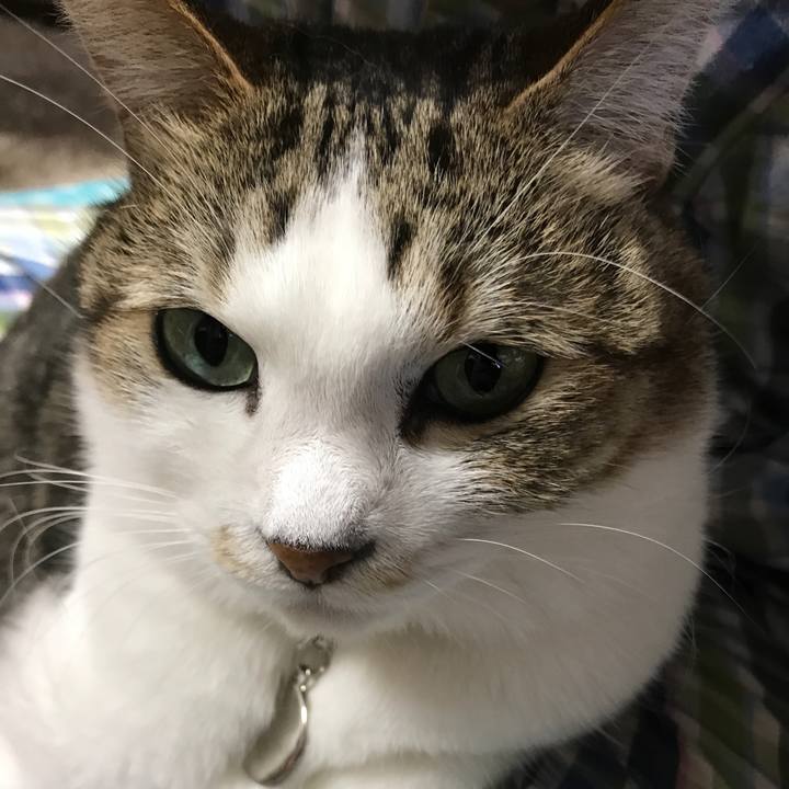 7c4a7192 6a05 4974 bfca 498dff1cc6f8 1548476373225