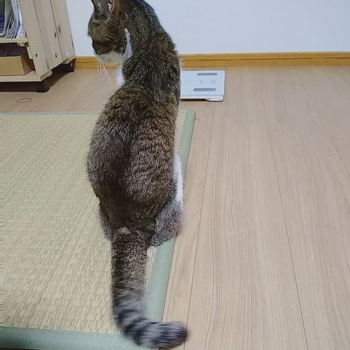 7c4aa093 1894 4309 8a9d 709eaed59cf4 1557499301577