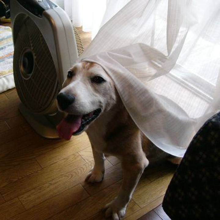 7c4ab39c dc49 4181 ae4d 62e491e9103b 1666229301214