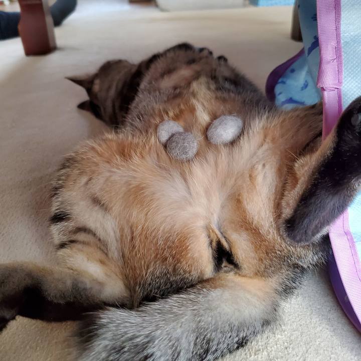 7c4ae1f7 1b32 4967 95b9 4ea3f9c6cadb 1704380209381