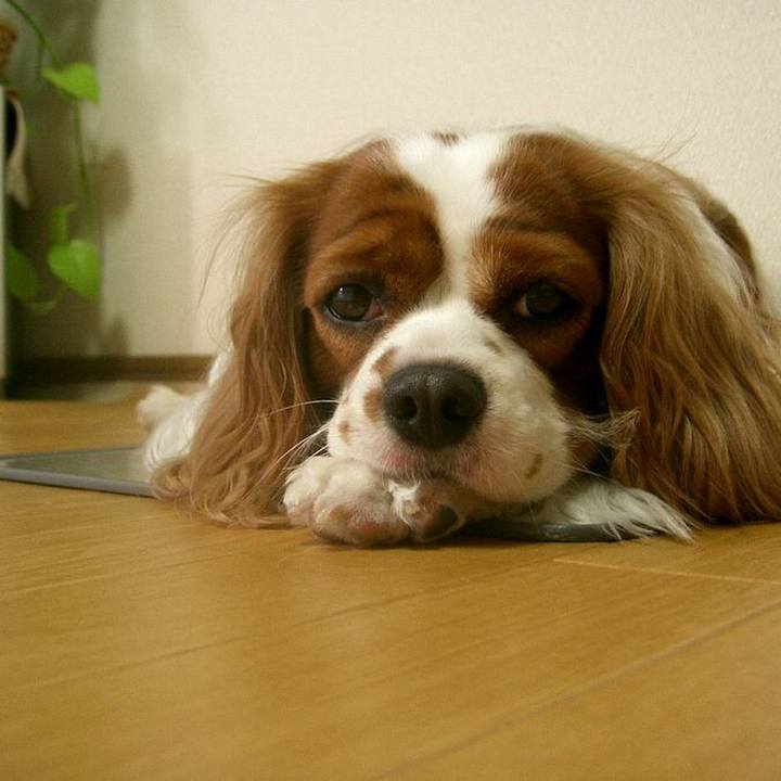 7c4b0785 9654 4f8c 9d9f 944a28ac7a83 1513138398493