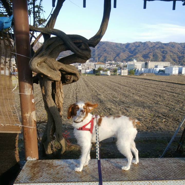 7c4b15ce 44f2 4efe a569 1d2df549cdb5 1544258479729