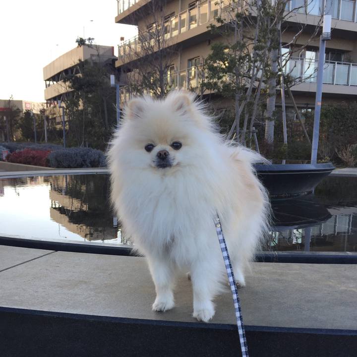 7c4b8155 69f7 4792 9397 2cc59d84f260 1520035760817