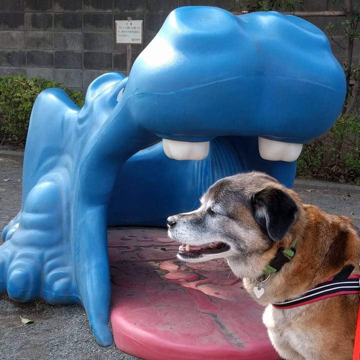 7c4b90cd 7c79 4abd 879b 3edc9703fe25 1555632954184