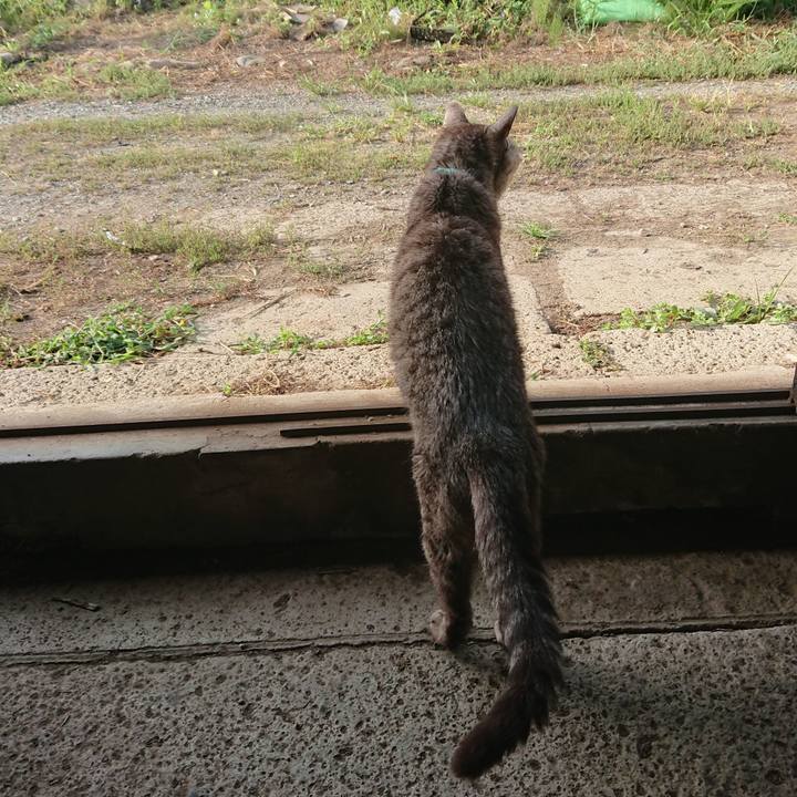 7c4b97d1 b25d 4669 bb06 c9f7833585d2 1565562433182