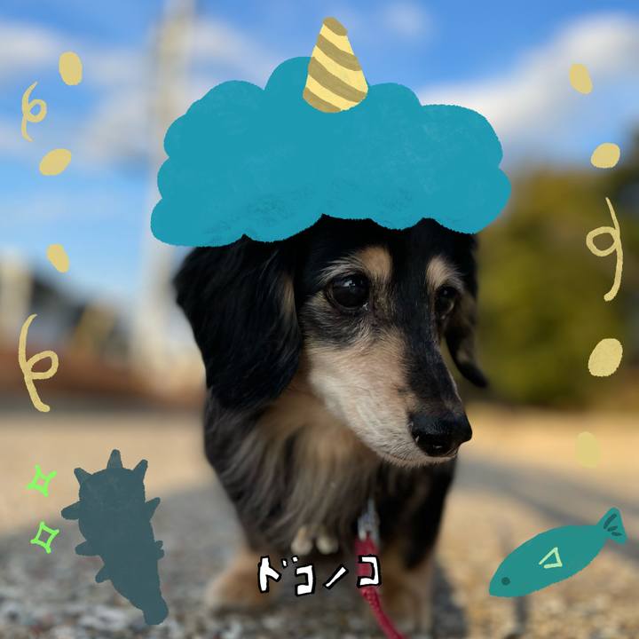 7c4ba247 7305 438e a955 aa0146a56df5 1706968050174