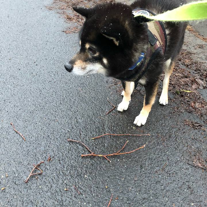 7c4ba640 f4af 47d3 a083 a5aca2e16ec8 1523446035231