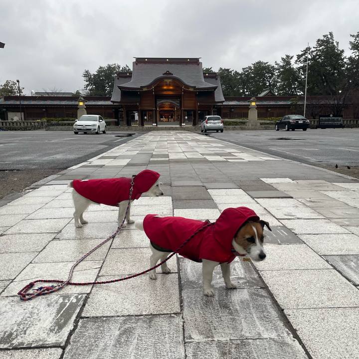 7c4bc29d 01bc 47af 9b3e 3beb34b64905 1771978670019