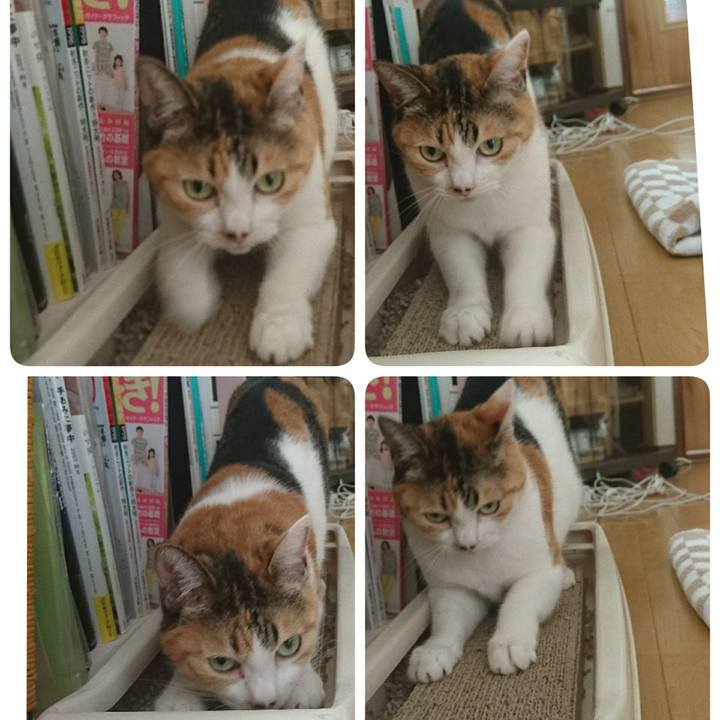 7c4be189 d81e 405b 92b3 39fd594bb33b 1556957001654